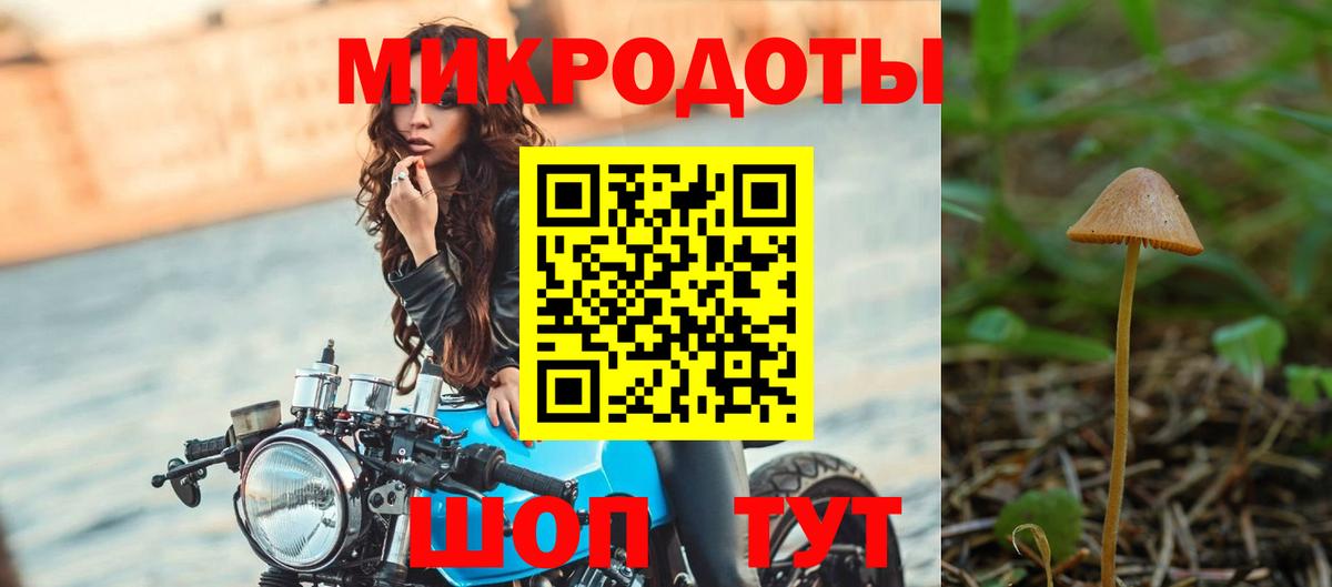 Грозный  Галлюциногенные грибы GOLDEN TEACHER  Вход с VPN  Псилоцибиновые грибы Psilocybine cubensis 